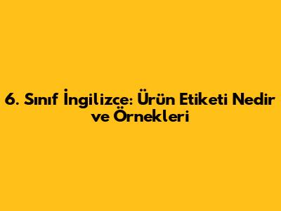 6. Sınıf İngilizce: Ürün Etiketi Nedir ve Örnekleri
