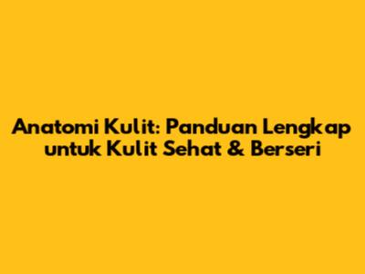 Anatomi Kulit: Panduan Lengkap untuk Kulit Sehat & Berseri