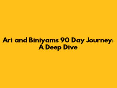 Ari and Biniyam's 90 Day Journey: A Deep Dive