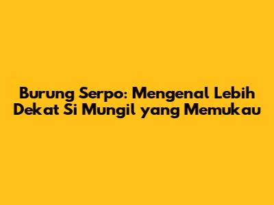 Burung Serpo: Mengenal Lebih Dekat Si Mungil yang Memukau