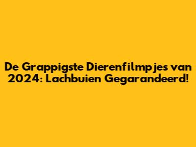 De Grappigste Dierenfilmpjes van 2024: Lachbuien Gegarandeerd!