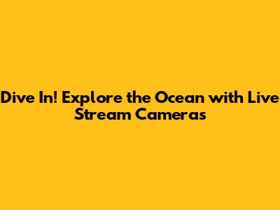 Dive In! Explore the Ocean with Live Stream Cameras