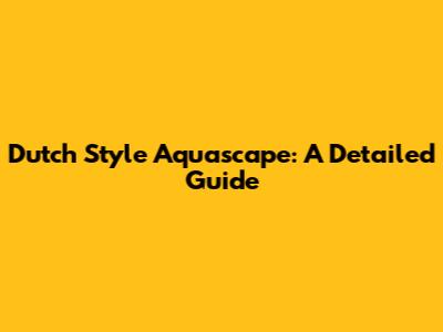 Dutch Style Aquascape: A Detailed Guide