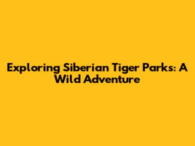 Exploring Siberian Tiger Parks: A Wild Adventure