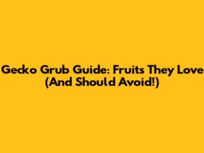 Gecko Grub Guide: Fruits They Love (And Should Avoid!)