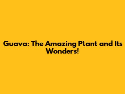 Guava: The Amazing Plant and Its Wonders!
