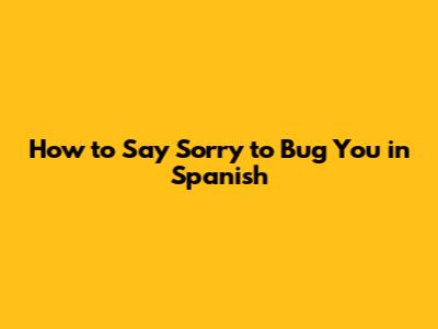 How to Say "Sorry to Bug You" in Spanish