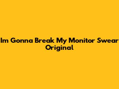 I'm Gonna Break My Monitor Swear Original