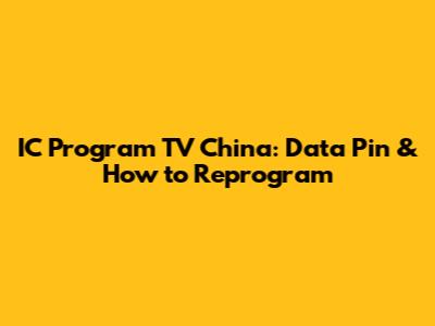 IC Program TV China: Data Pin & How to Reprogram