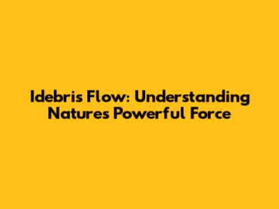 Idebris Flow: Understanding Nature's Powerful Force