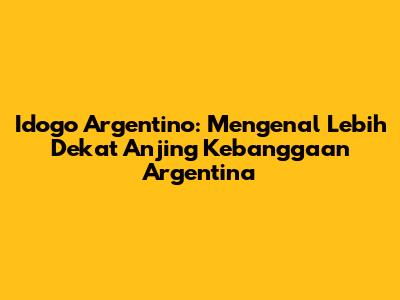 Idogo Argentino: Mengenal Lebih Dekat Anjing Kebanggaan Argentina
