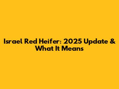 Israel Red Heifer: 2025 Update & What It Means