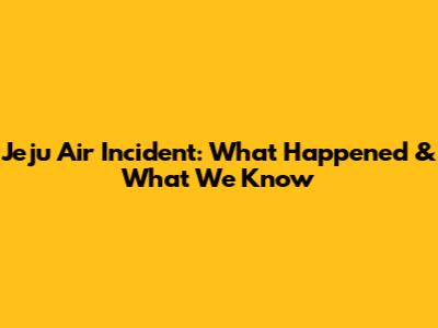 Jeju Air Incident: What Happened & What We Know