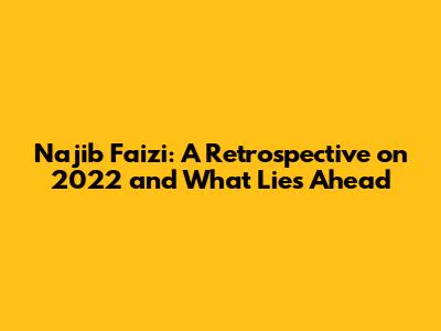 Najib Faizi: A Retrospective on 2022 and What Lies Ahead