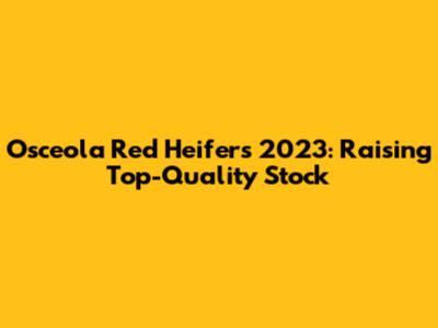 Osceola Red Heifers 2023: Raising Top-Quality Stock