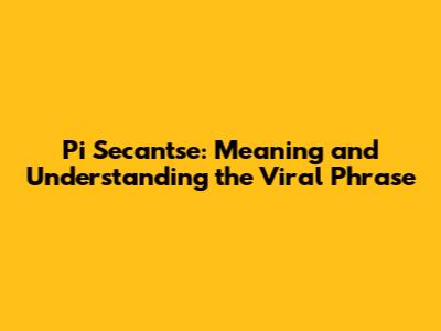 Pi Secan'tse: Meaning and Understanding the Viral Phrase