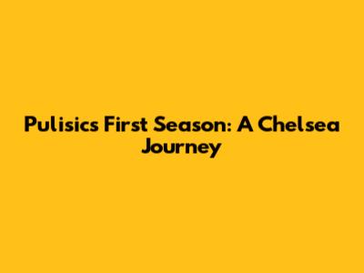 Pulisic's First Season: A Chelsea Journey