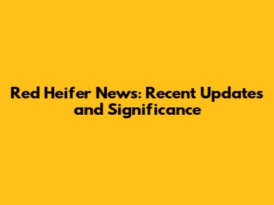 Red Heifer News: Recent Updates and Significance