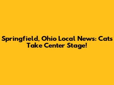 Springfield, Ohio Local News: Cats Take Center Stage!