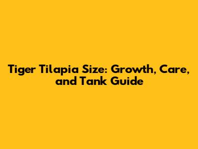 Tiger Tilapia Size: Growth, Care, and Tank Guide