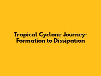 Tropical Cyclone Journey: Formation to Dissipation