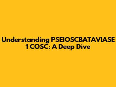 Understanding PSEIOSCBATAVIASE 1 COSC: A Deep Dive