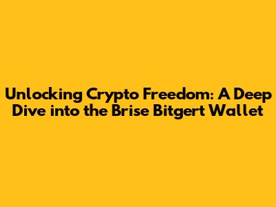 Unlocking Crypto Freedom: A Deep Dive into the Brise Bitgert Wallet