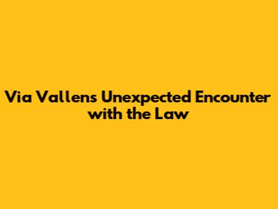 Via Vallen's Unexpected Encounter with the Law