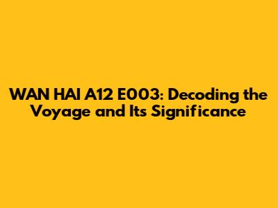 WAN HAI A12 E003: Decoding the Voyage and Its Significance