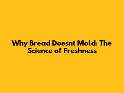 Why Bread Doesn't Mold: The Science of Freshness