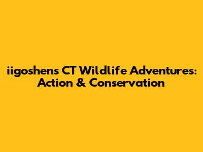 iigoshen's CT Wildlife Adventures: Action & Conservation
